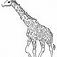 Image result for Mother and Baby Giraffe Coloring Pages