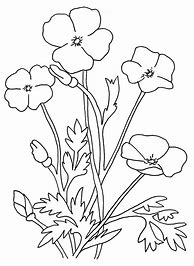 Image result for Poppies Coloring Pages