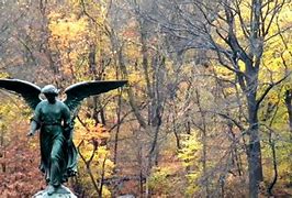 Image result for Fall Peak Colors New York