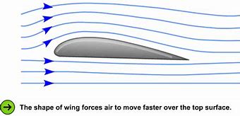 Image result for Airfoil Section