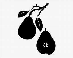 Image result for Pear Silhouette