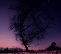 Image result for Winter Night Sky Moon