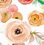 Image result for Watercolor Flowers