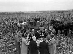 Image result for Nebraska Corn Harvest