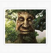 Image result for Wise Mystical Tree 600X160