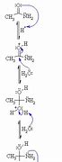 Image result for Hydrolysis of Amide Group