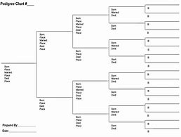 Image result for Free Family Tree Pedigree Chart