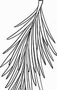 Image result for Vector Tree Branch Coloring