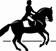 Image result for Horseback Riding Cartoon