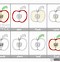 Image result for Apple Parts Worksheet Kindergarten