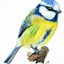 Image result for Watercolour Bird