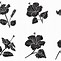 Image result for Black Hibiscus Flower Drawing