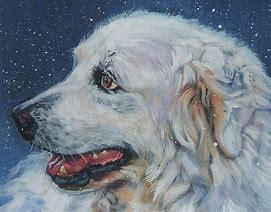 Image result for Dog Art