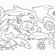 Image result for Sea Life Animals Coloring Pages