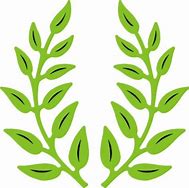 Image result for Olive Branches Designs