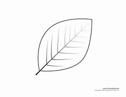 Image result for Printable Real Leaf