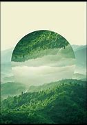 Image result for Forest Poster