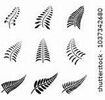 Image result for Fern Leaf Fractal Design Images