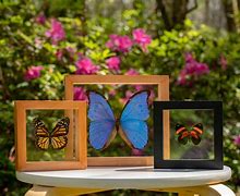 Image result for framed butterfly wall art set