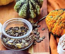 Image result for Pumpkin Seed vs Pumpkin