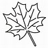 Image result for Maple Leaf Coloring