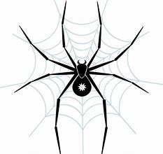 Image result for Spider Vector Art