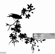 Image result for Small Cherry Tree with Blossom