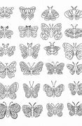 Image result for Colorful Butterfly Collection