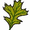 Image result for Oak Leaf Sketch