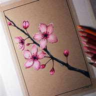 Image result for Cherry Blossom Tree Drawing Pencil Easy