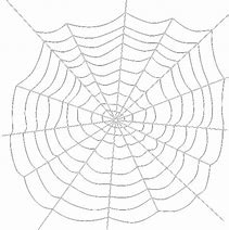 Image result for Spider Web Transparent Background