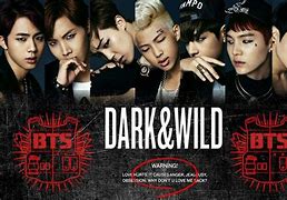 Image result for BTS Dark and Wild Album Cover