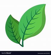 Image result for Simple Cartoon Leaf