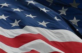 Image result for South US Flag Icon