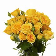 Image result for yellow spray roses bouquet