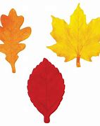 Image result for Fall Leaf Print