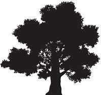 Image result for Half Tree Silhouette