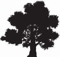 Image result for Oak Tree Silhouette Border