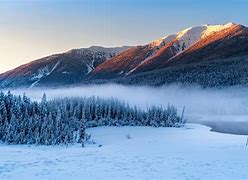 Image result for Winter Forest Desktop Background