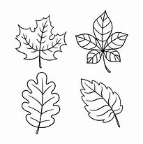 Image result for Fall Leaves Print Outs