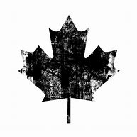 Image result for Canadian Maple Leaf Transparent Background