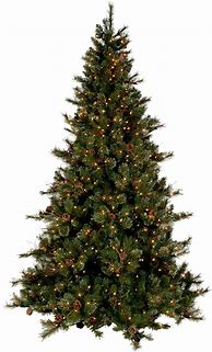 Image result for Natural Christmas Tree