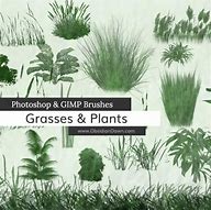 Image result for Leaf Brush Photoshop