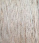 Image result for Eucalyptus Saligna Timber Characteristics