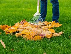 Image result for Raking Leaves 100 Years Ago