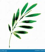 Image result for Simple Green Leaf Watercolor