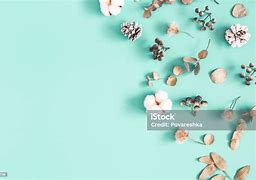 Image result for Holly Berries and Pine Cones Clip Art