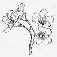 Image result for Blossom Tree Fan Art