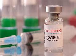 Image result for BCG Vaccine for Newborn