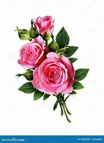 Image result for Purple and White Flowers Bouquet